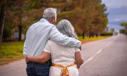 como funciona la pension publica en España